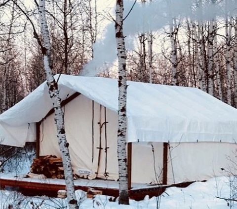 Cabane confortable dans les bois à Harness Adventure Mushing Co.