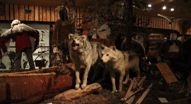 Une exposition au musée Heritage North de Thompson, au Manitoba