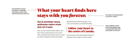 Hiérarchie des polices