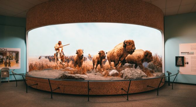 Gran diorama de indígena a caballo con mosquete cazando 4 bisontes corriendo por la pradera