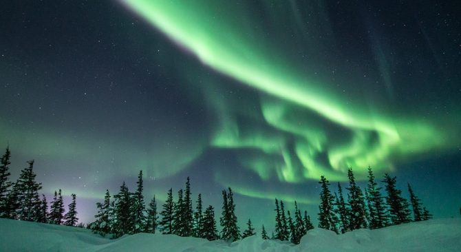 Green northern lights swirl over a snow covered, northern forest near Churchill.