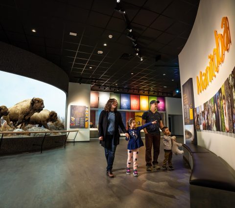 A family looking at the exhibits at the Manitoba Museum