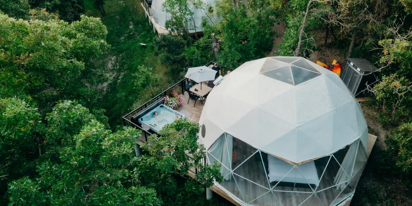 Descubra el encanto del dosel iluminado por la luna: donde las sombras se balancean y los secretos acechan bajo el suave resplandor de la luna.