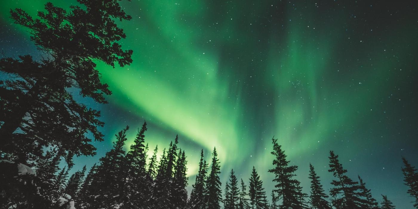 Aurora borealis display over a snowy spruce landscape in Churchill, Manitoba