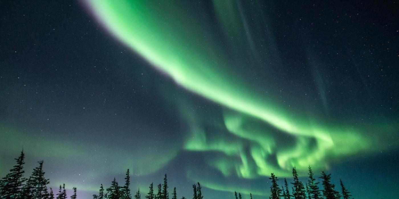 A northern lights display against the northern wilderness in Churchill, Manitoba