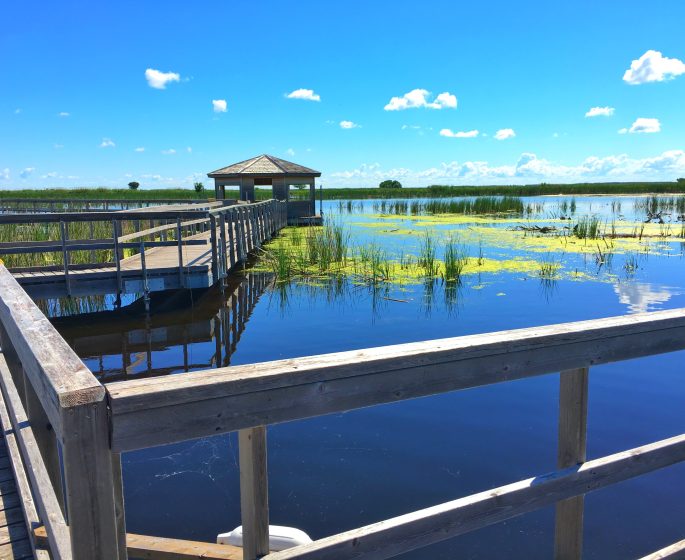 View of the boardwalks over Oak Hammock Marsh