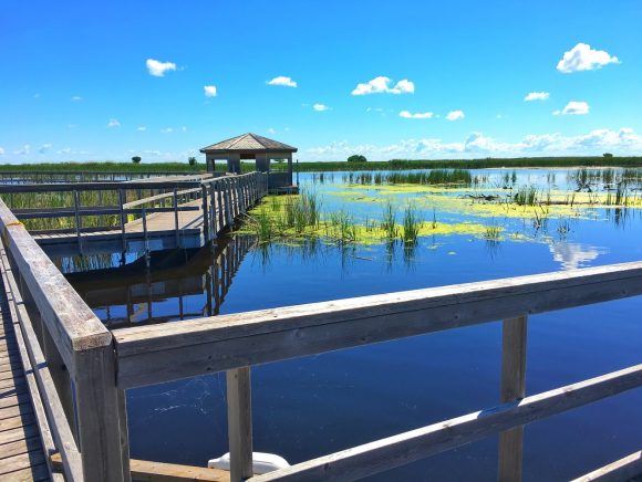 Blick auf die Uferpromenade über Oak Hammock Marsh