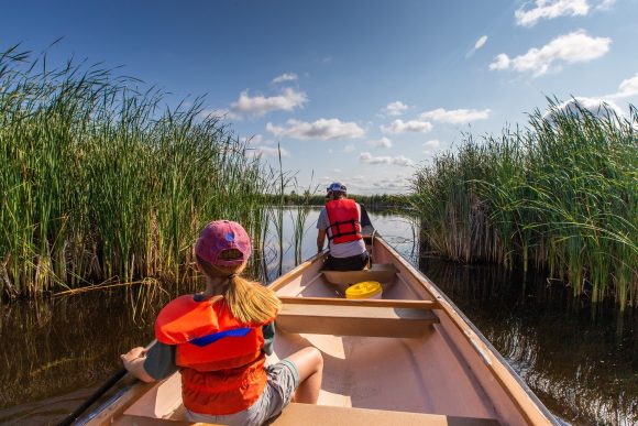 Eine Person und ein Kind paddeln in einem Kanu durch Oak Hammock Marsh