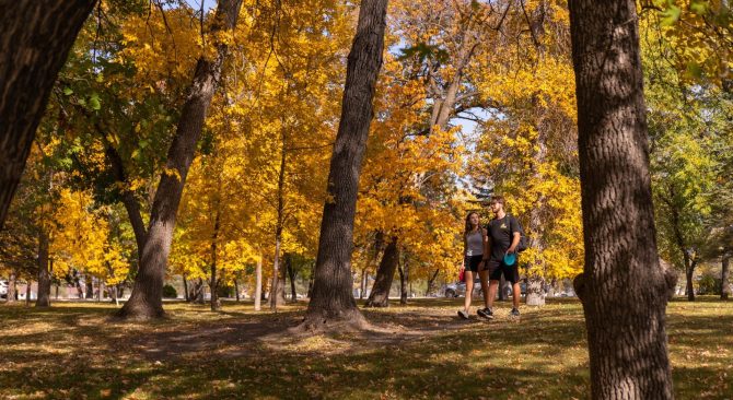 Couple hiking in a Manitoba park in the fall amidst trees with yellow foliage