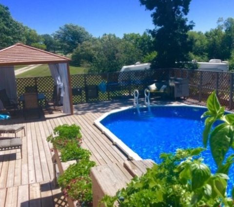 Pool and deck area surrounded by bushes on a bright, sunny day at Prairie Paradise Retreat