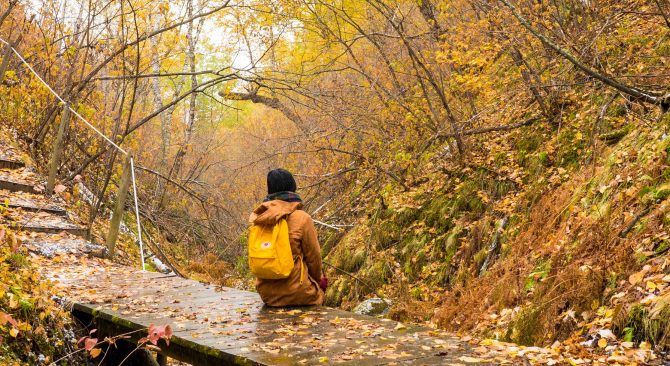 Eine Frau sitzt auf einer Holzbrücke und bewundert die fallenden Herbstblätter. Sie trägt ihren gelben Rucksack, der sich mit den Farben der Natur vermischt.