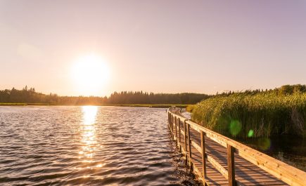 Paglubog ng araw sa boardwalk sa Ominik Marsh Trail sa Manitoba Canada
