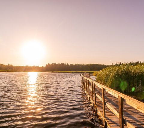 Sunset on the boardwalk at Ominik Marsh Trail in Manitoba Canada