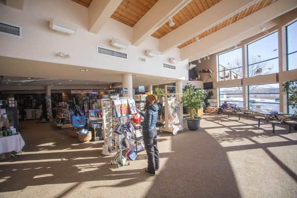 Interior shot of the Woodland Discovery Centre shop.