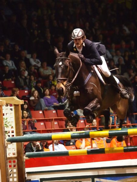 Un caballo bayo y su jinete saltan por encima de un salto rayado en la pista de la Feria Real de Invierno de Manitoba.