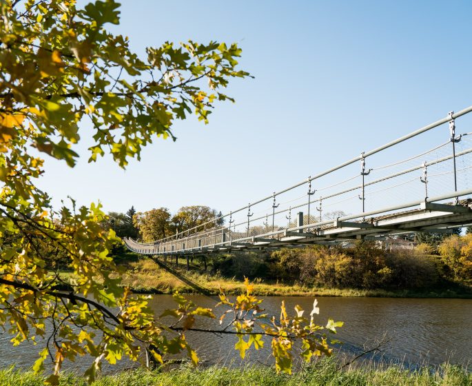 Looking at the Souris Swinging Bridge through the green leaves of a nearby tree.