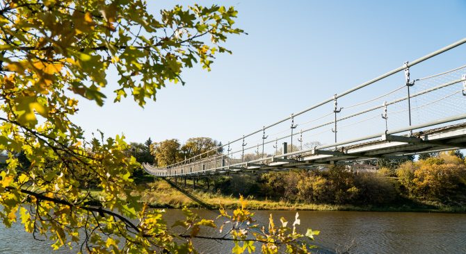 Looking at the Souris Swinging Bridge through the green leaves of a nearby tree.