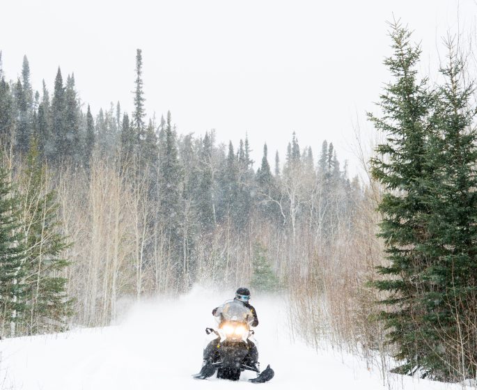 A person snowmobiling through a snowy forest, near Thompson.