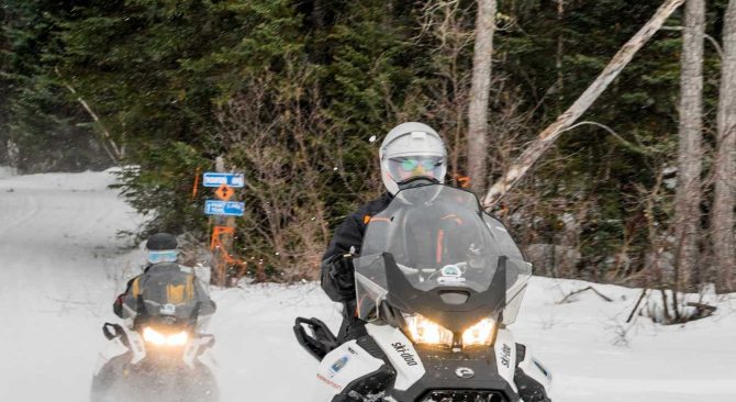 Two snowmobilers enjoying a trail through a pine forest.