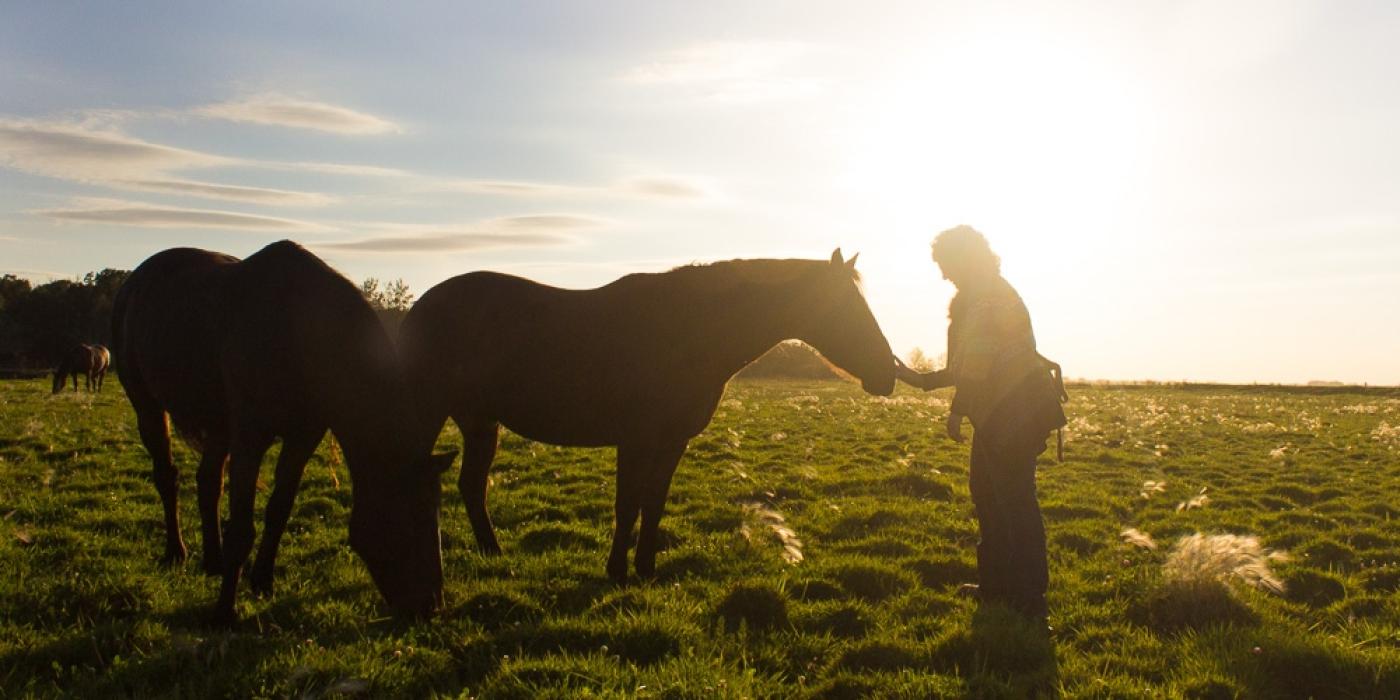Una persona acaricia el morro de un caballo mientras otra pasta la hierba a su lado.