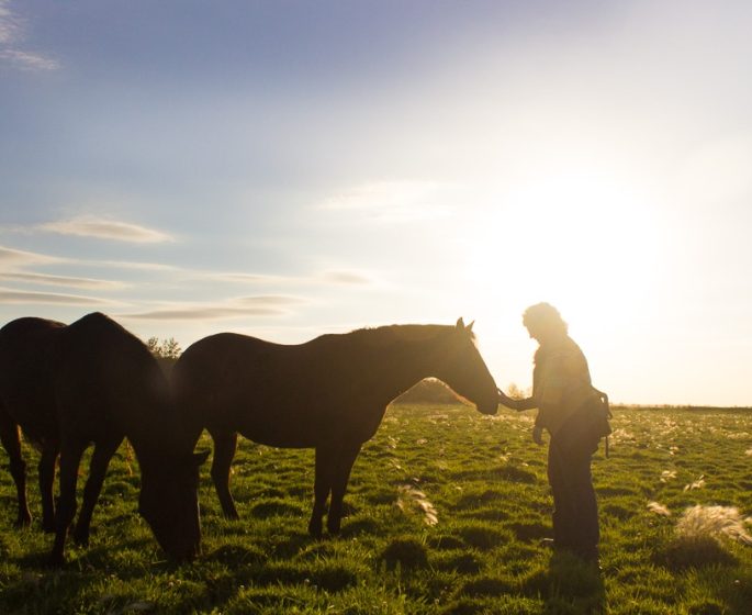 Une personne caresse le nez d'un cheval tandis qu'une autre broute l'herbe à côté d'eux.