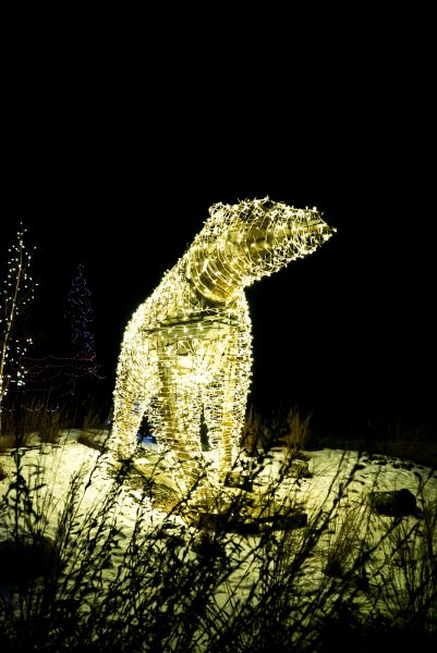 Affichage lumineux d'un ours polaire dans la nuit.