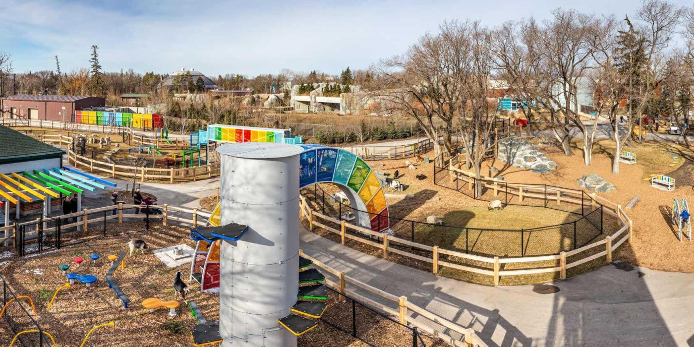 Looking out over Aunt Sally's Farm at Assiniboine Park Zoo.