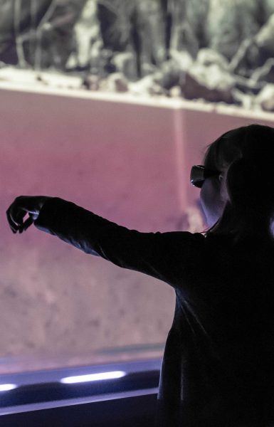 A little girl points towards one of the hologram animals.