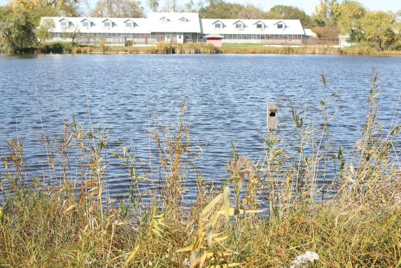 Tumitingin sa mga marsh grass sa mga pangunahing gusali sa Delta Marsh.