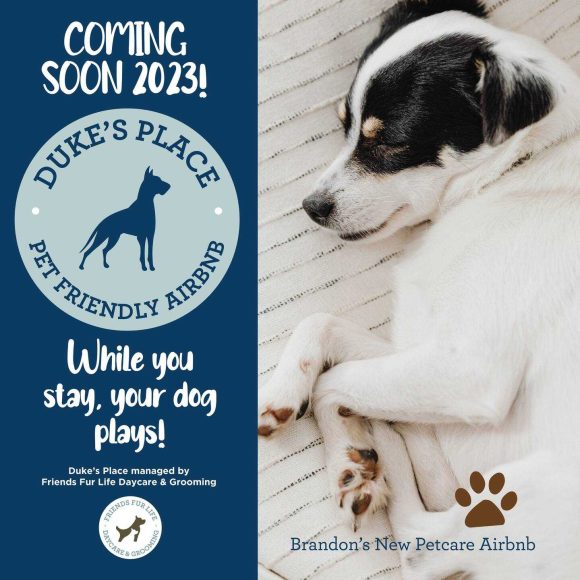 10 DogFriendly in Manitoba Travel Manitoba