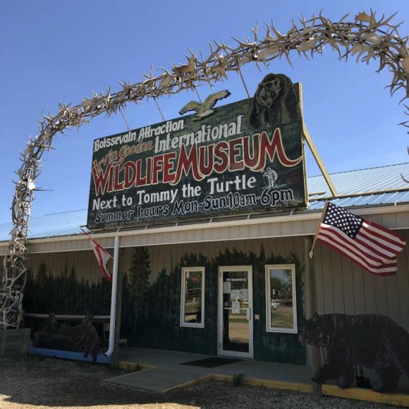Exterior del Museo de la Fauna Irvin Goodon