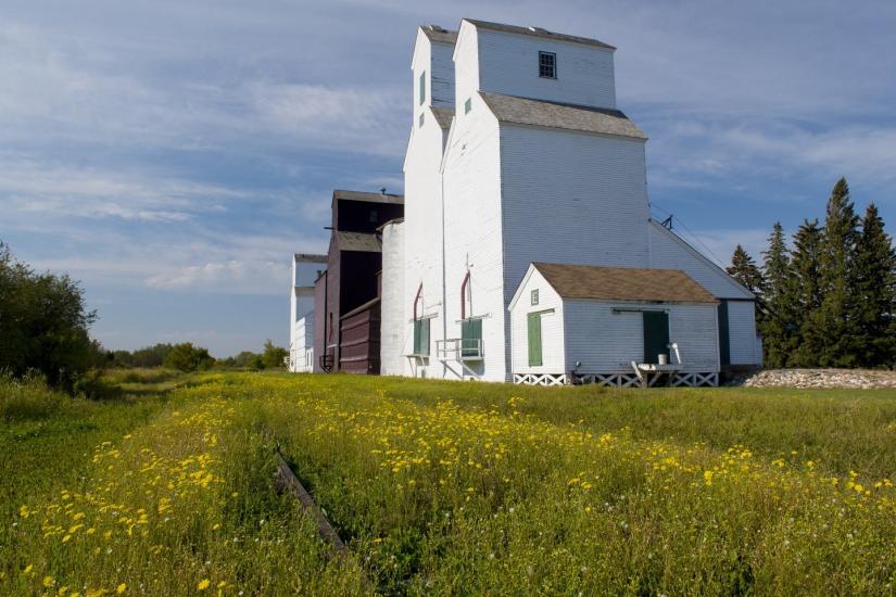 Historic white grain elevators in Inglis.