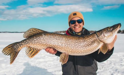 Eine Person hält einen sehr großen nördlichen Hecht, der beim Eisfischen gefangen wurde.
