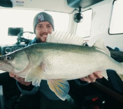 A person holds a very large greenback walleye, caught with Icebound Excursions.