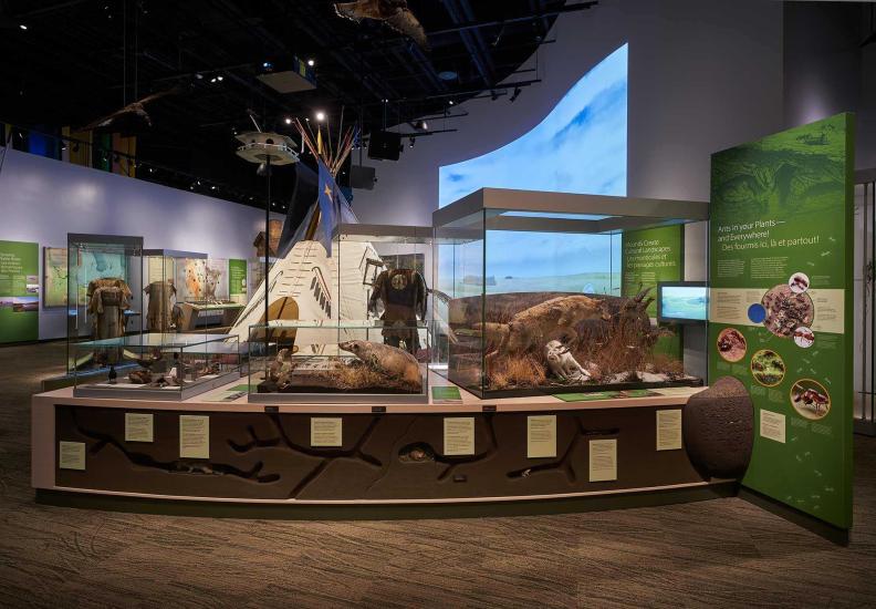 Display sa Manitoba Museum