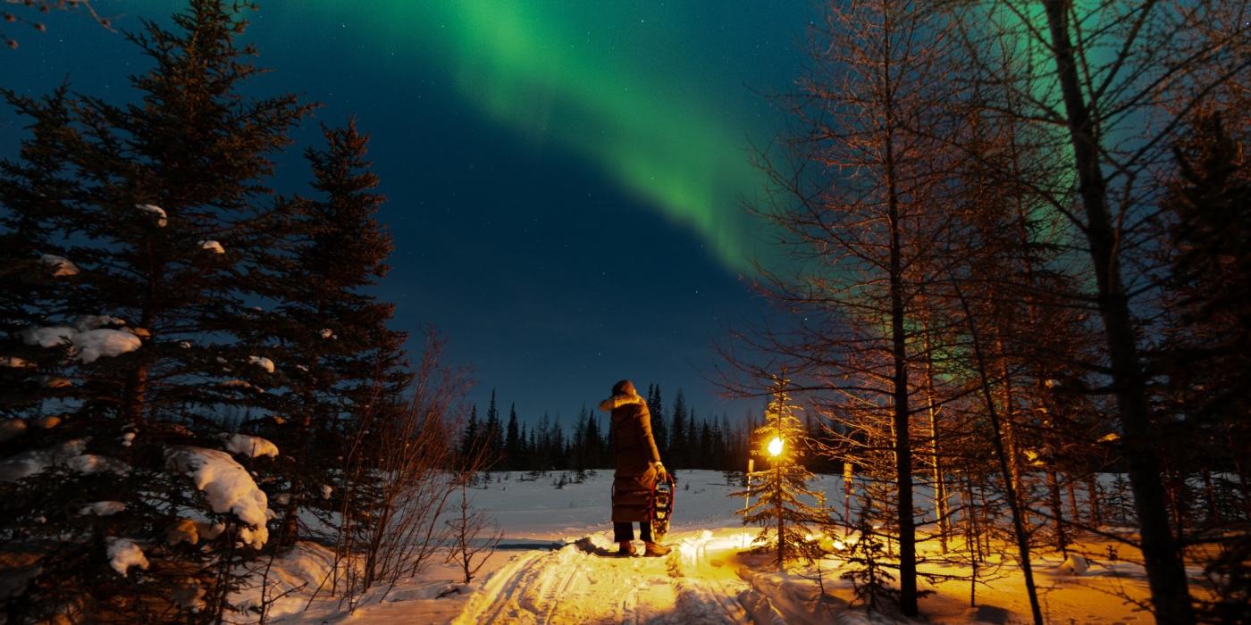 A person stands on a snow covered forest path near a clearing, watching the northern lights.
