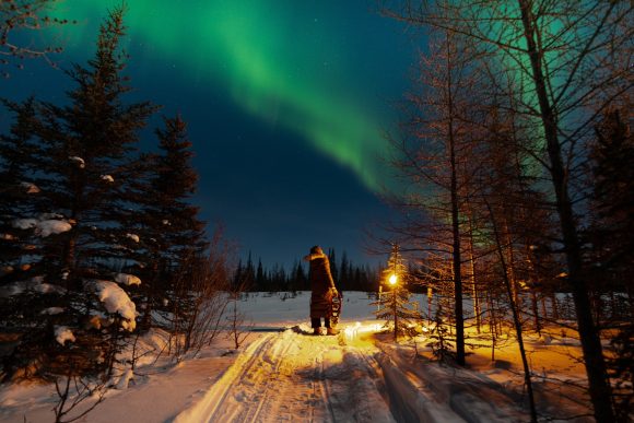 Una persona se encuentra en un camino forestal cubierto de nieve cerca de un claro, observando la aurora boreal.