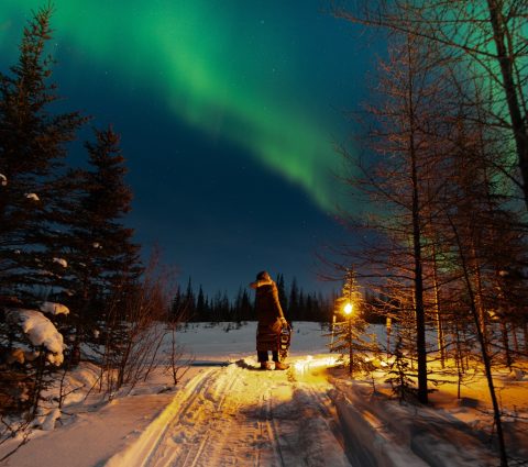 A person stands on a snow covered forest path near a clearing, watching the northern lights.