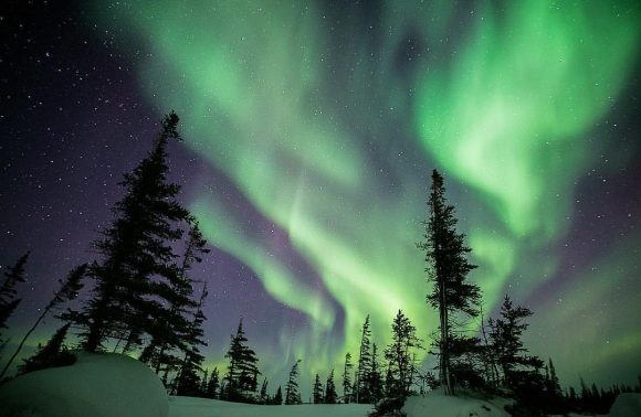 Northern lights dancing and swirling over a snowy forest.