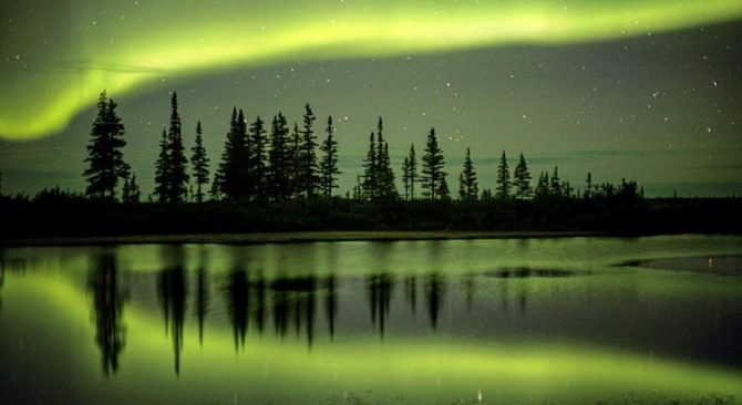Northern lights fill the sky, trees reflect of the glass like ice. Where nature's dance illuminates the Arctic skies.