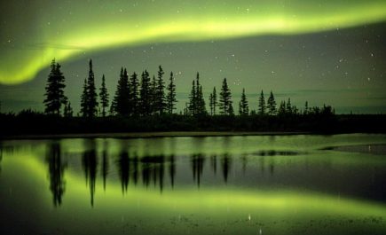 Northern lights fill the sky, trees reflect of the glass like ice. Where nature's dance illuminates the Arctic skies.