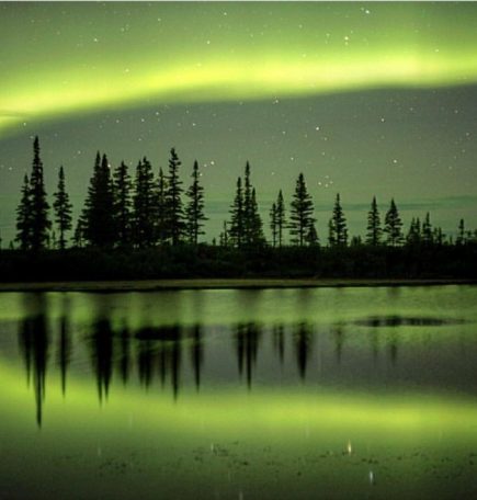 Nordlichter erfüllen den Himmel, Bäume spiegeln sich im gläsernen Eis. Wo der Tanz der Natur den arktischen Himmel erhellt.
