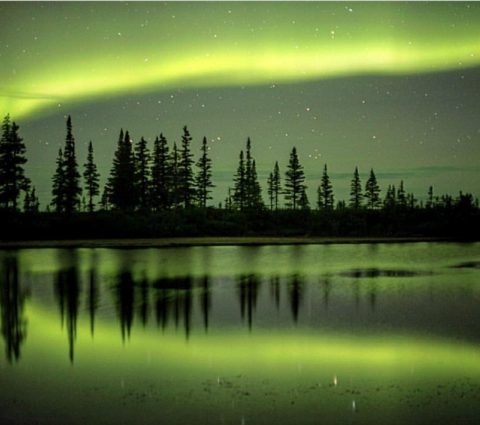 Les aurores boréales remplissent le ciel, les arbres se reflètent dans la glace. La danse de la nature illumine le ciel arctique.
