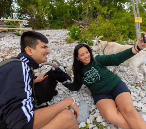 Deux personnes s'allongent sur une plage de galets pour prendre un selfie avec une chèvre.