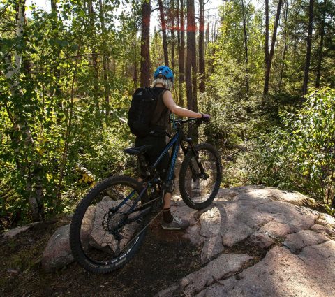 A person mountain biking through the sunlit forest in Whiteshell Provincial Park.